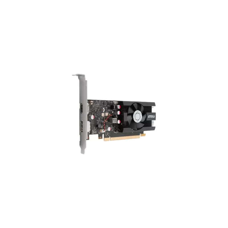 GT 1030 2GD4 LP OC-2